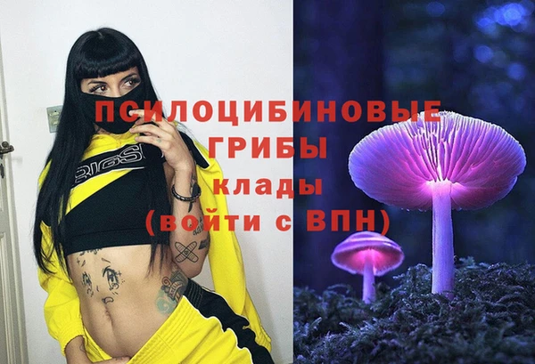 синтетический гашиш Алексин