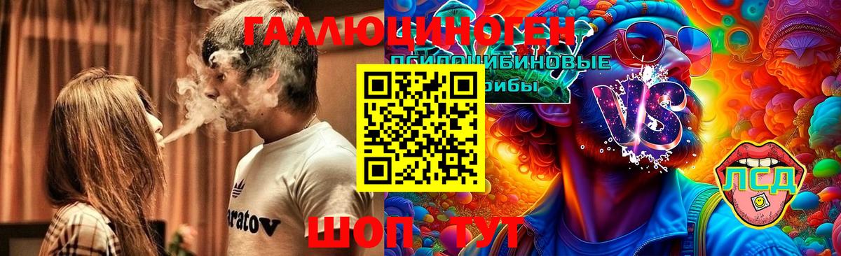 Псилоцибиновые грибы Magic Shrooms  где купить наркотик  Вход с VPN  Знаменск  Псилоцибиновые грибы GOLDEN TEACHER 