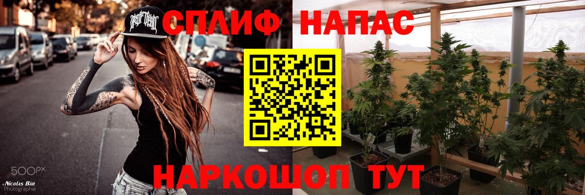 Конопля семена  Марихуана планчик  Канабис ГИДРОПОН  Знаменск  Вход с VPN 